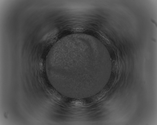 X0000091550655200709071218