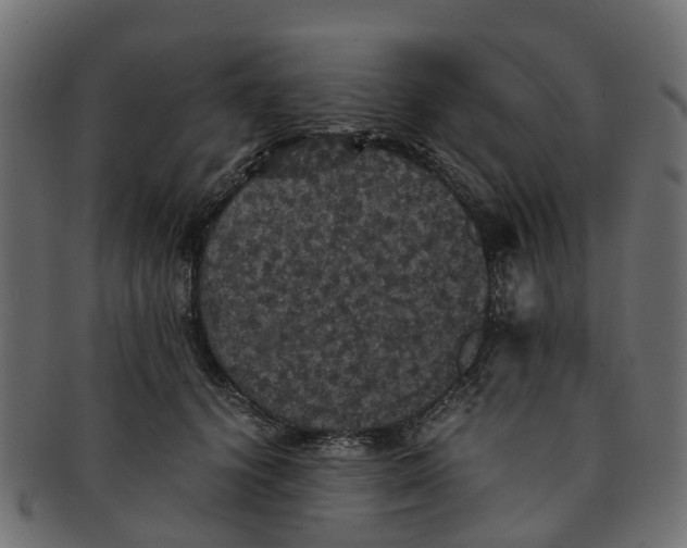 X0000091550656200709071218