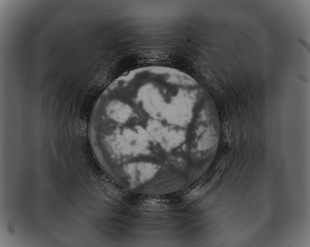 X0000091550657200709071218