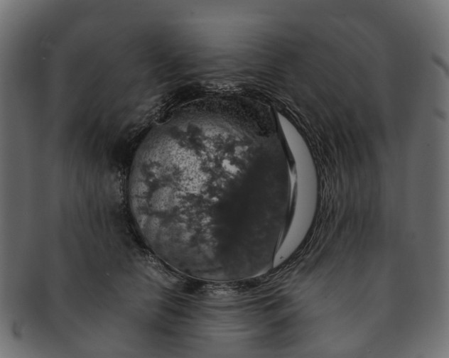 X0000091550658200709071218