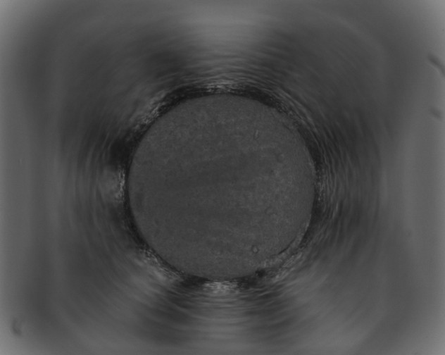 X0000091550660200709071218