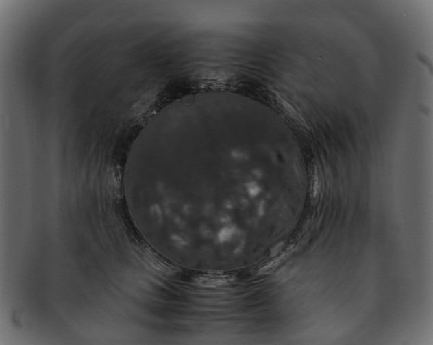X0000091550661200709071218