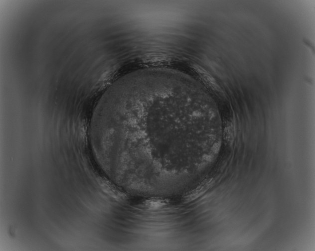 X0000091550662200709071218