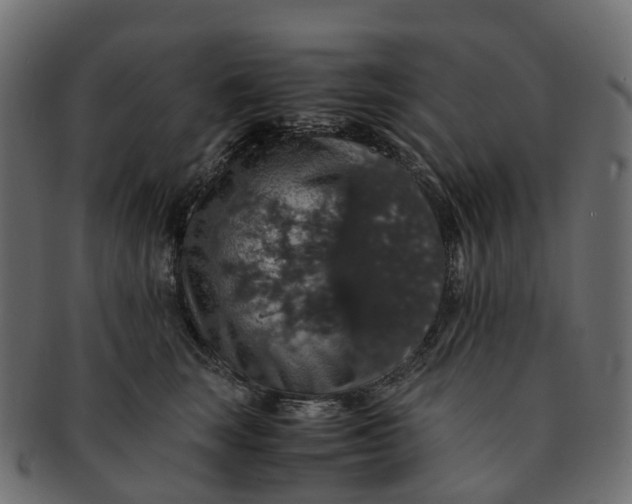 X0000091550663200709071218