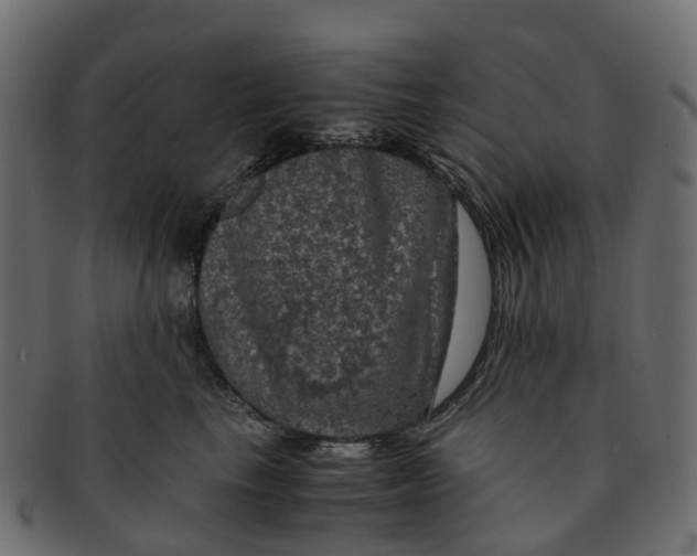 X0000091550665200709071218