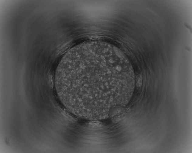 X0000091550666200709071218