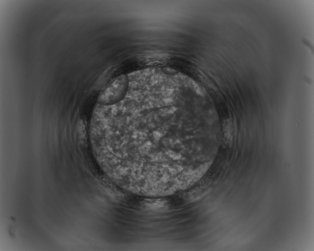 X0000091550667200709071218