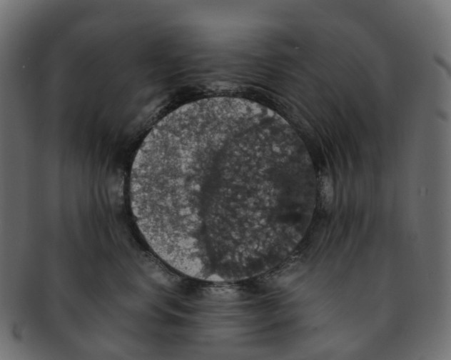 X0000091550668200709071218