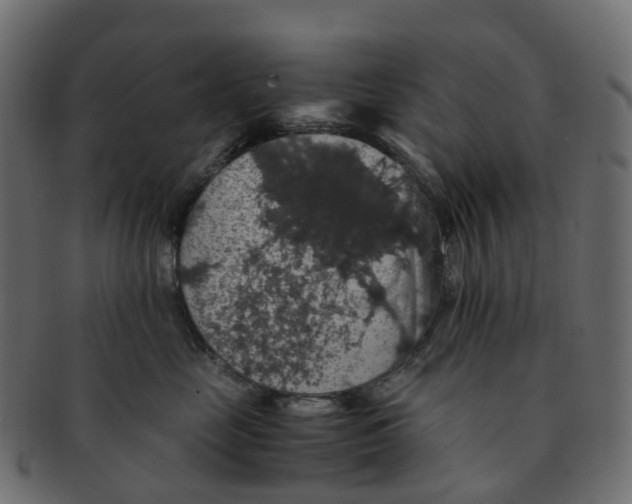 X0000091550669200709071218