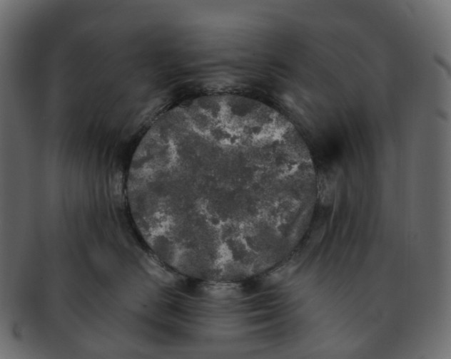 X0000091550670200709071218