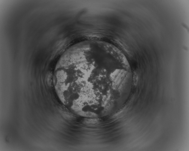 X0000091550671200709071218