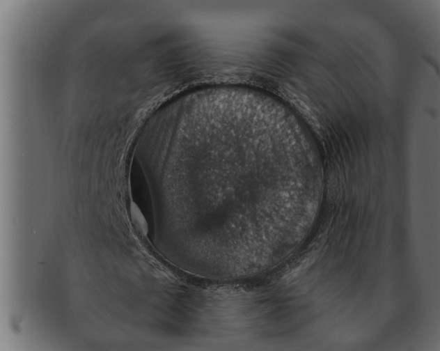X0000091550673200709071217