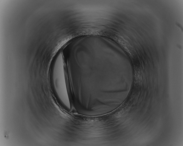 X0000091550674200709071217