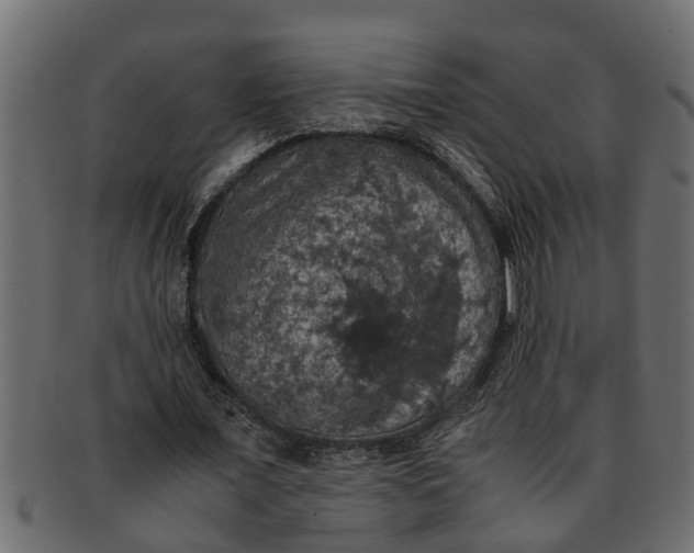 X0000091550675200709071217