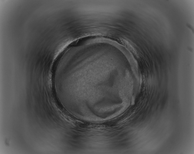 X0000091550676200709071217