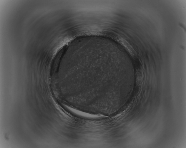 X0000091550677200709071217