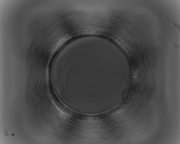 X0000091550678200709071217