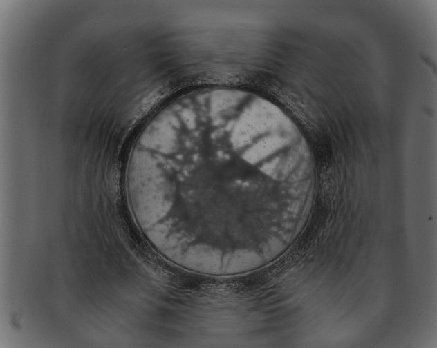 X0000091550679200709071217