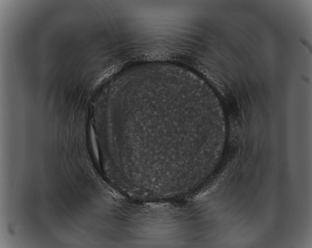 X0000091550681200709071217