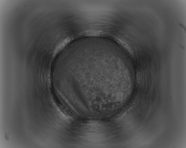 X0000091550682200709071217