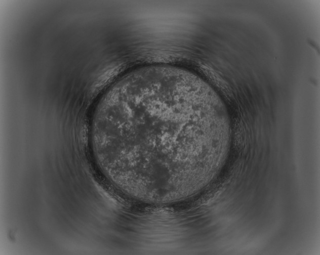 X0000091550683200709071217