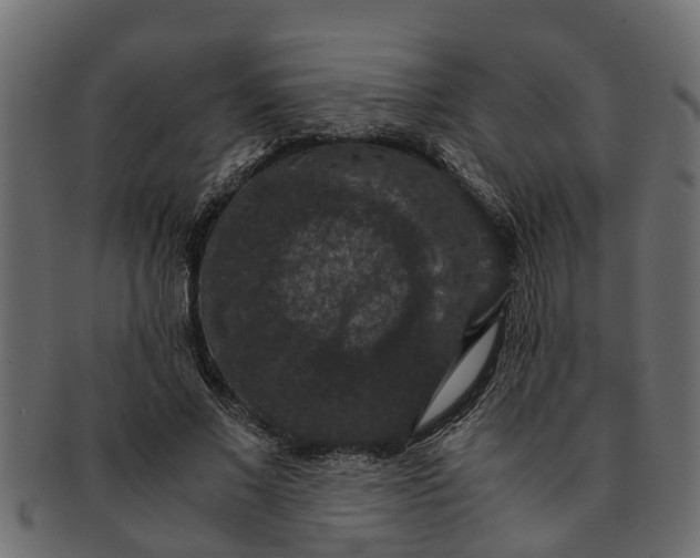 X0000091550685200709071217