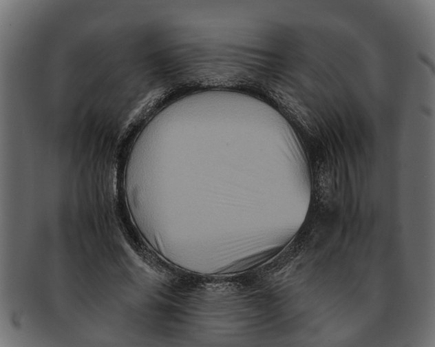 X0000091550686200709071217