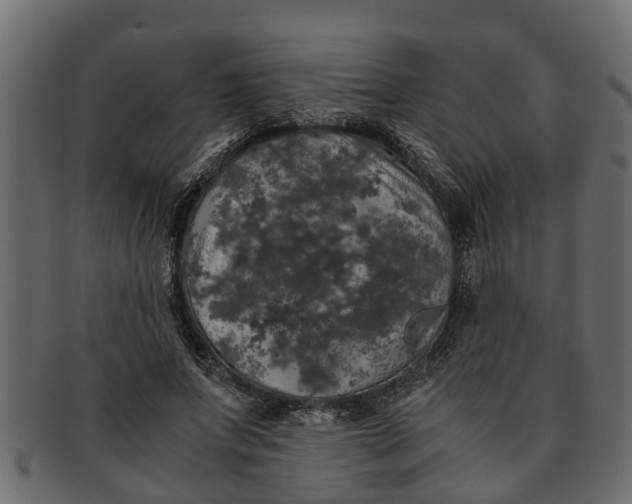 X0000091550687200709071217