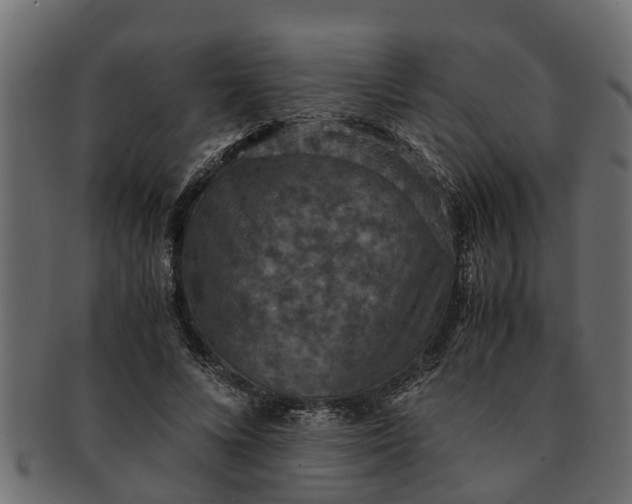 X0000091550688200709071217