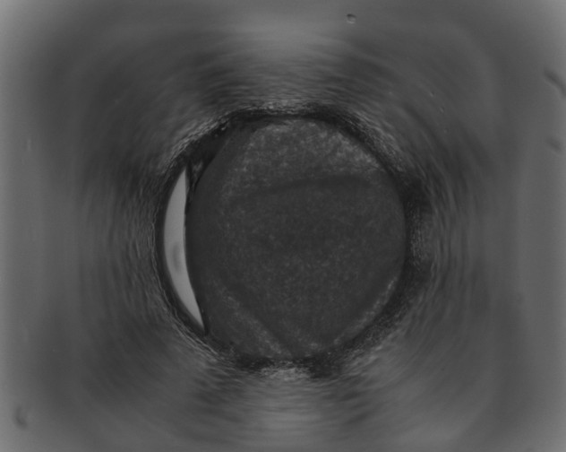 X0000091550689200709071217