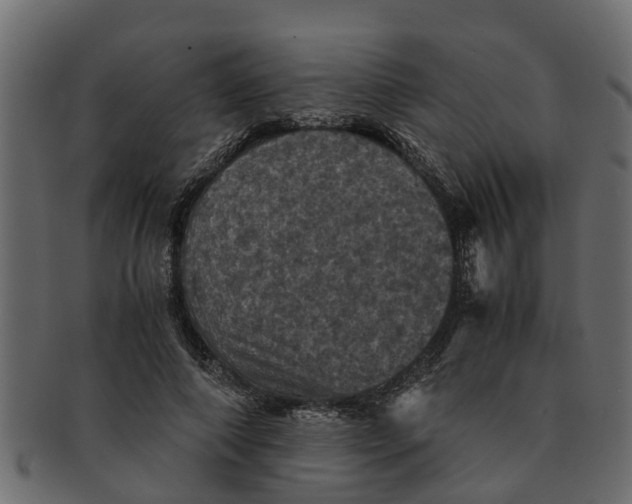 X0000091550690200709071217