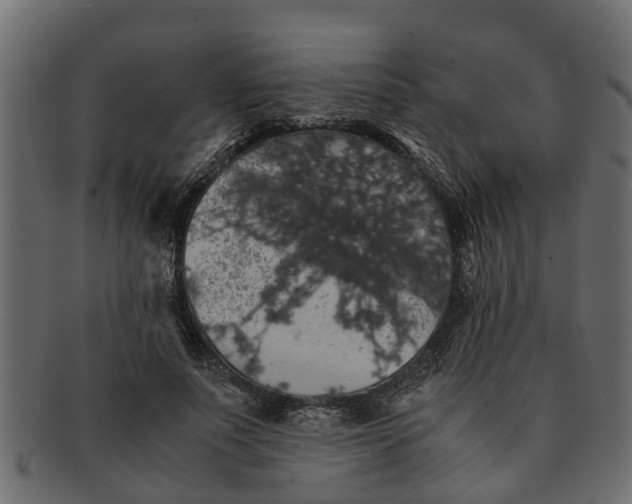 X0000091550691200709071217
