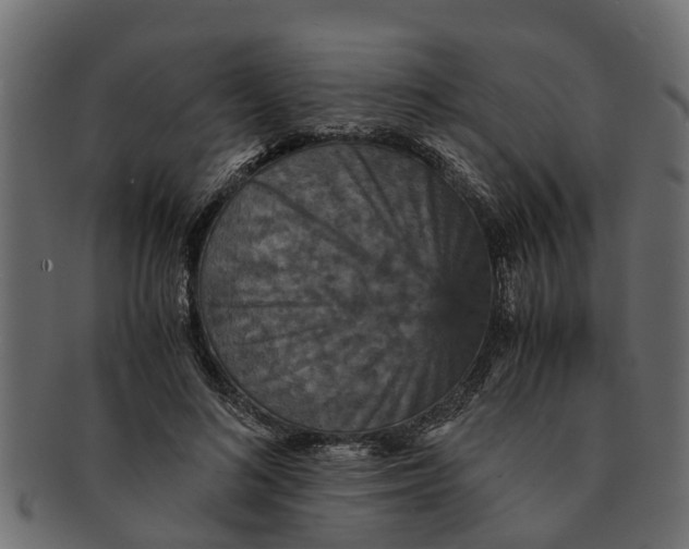 X0000091550692200709071217