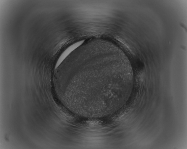 X0000091550693200709071217