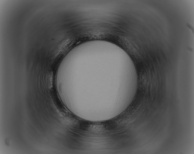 X0000091550694200709071217