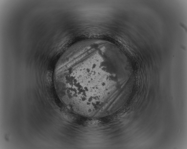 X0000091550695200709071216