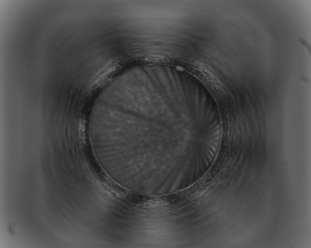 X0000091550696200709071216