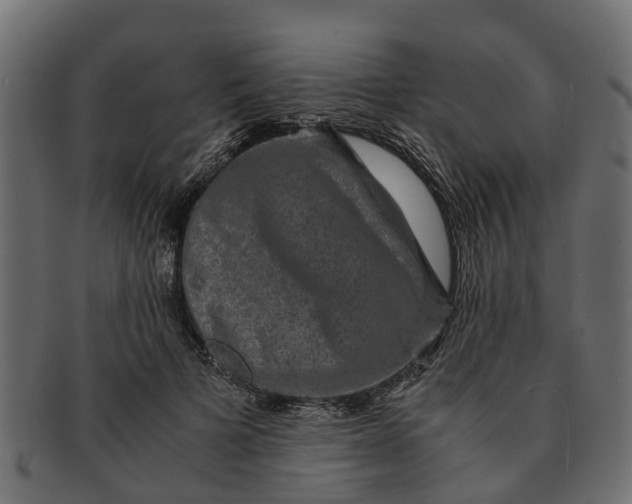 X0000091550697200709071216