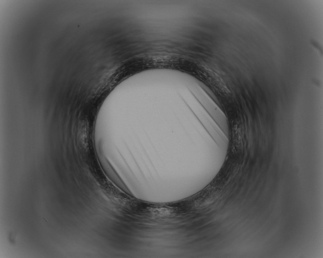 X0000091550698200709071216