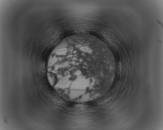 X0000091550699200709071216