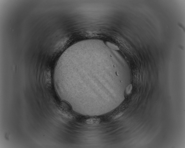 X0000091550700200709071216