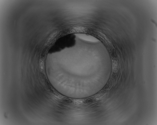 X0000091550701200709071216