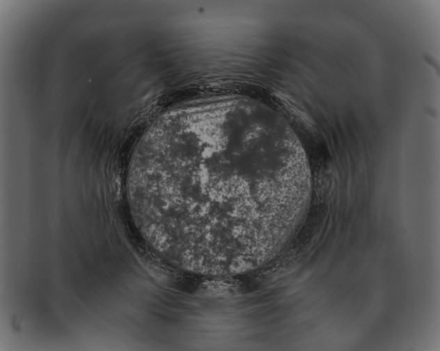 X0000091550703200709071216