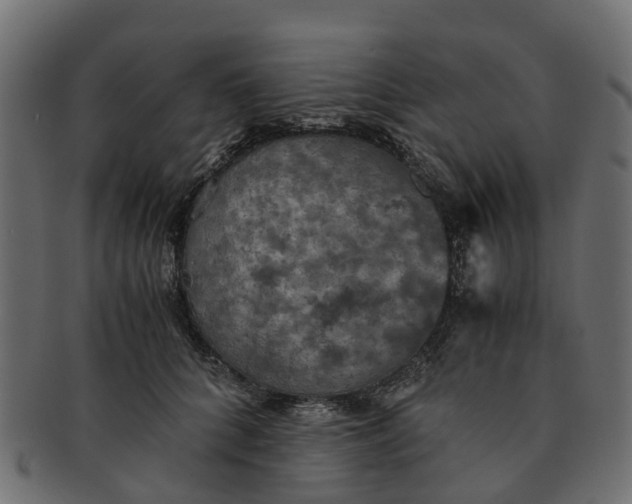 X0000091550704200709071216