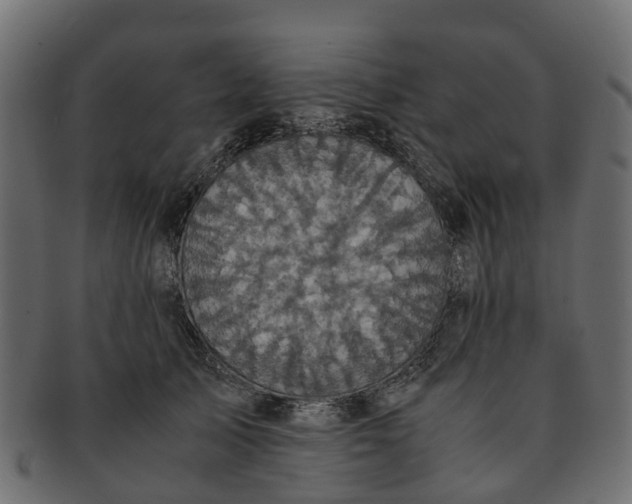 X0000091550705200709071216