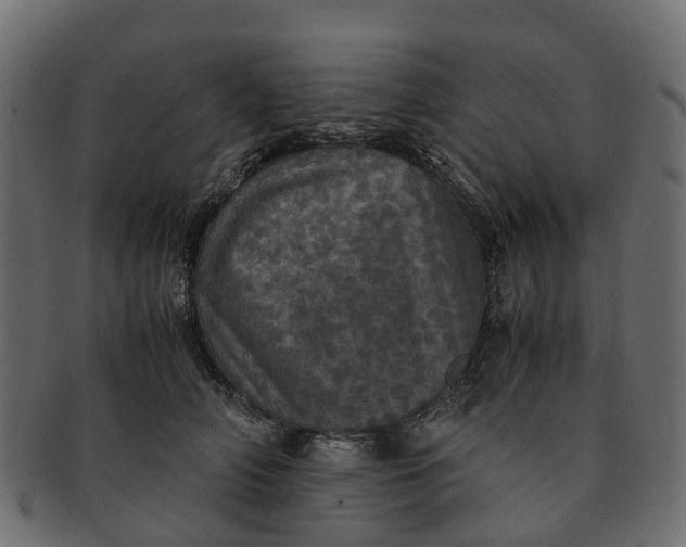 X0000091550706200709071216