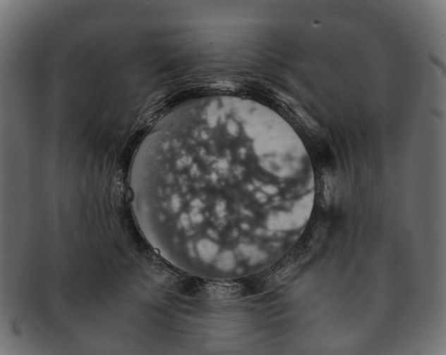 X0000091550707200709071216