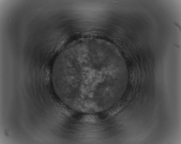 X0000091550708200709071216