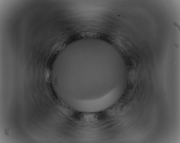 X0000091550709200709071216