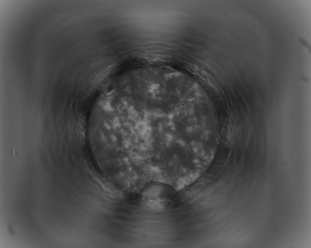 X0000091550710200709071216